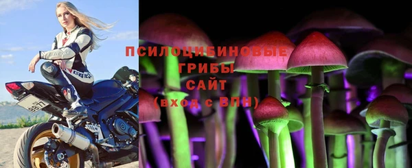 молекула духа Магас