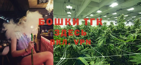 молекула духа Магас
