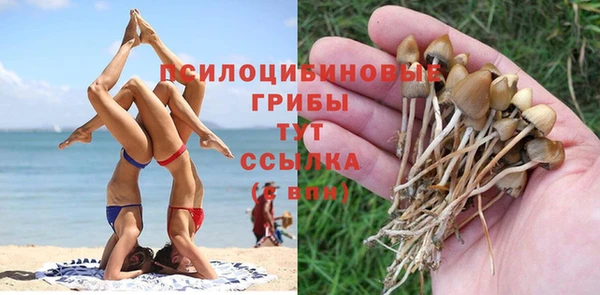 мяу мяу мука Майский